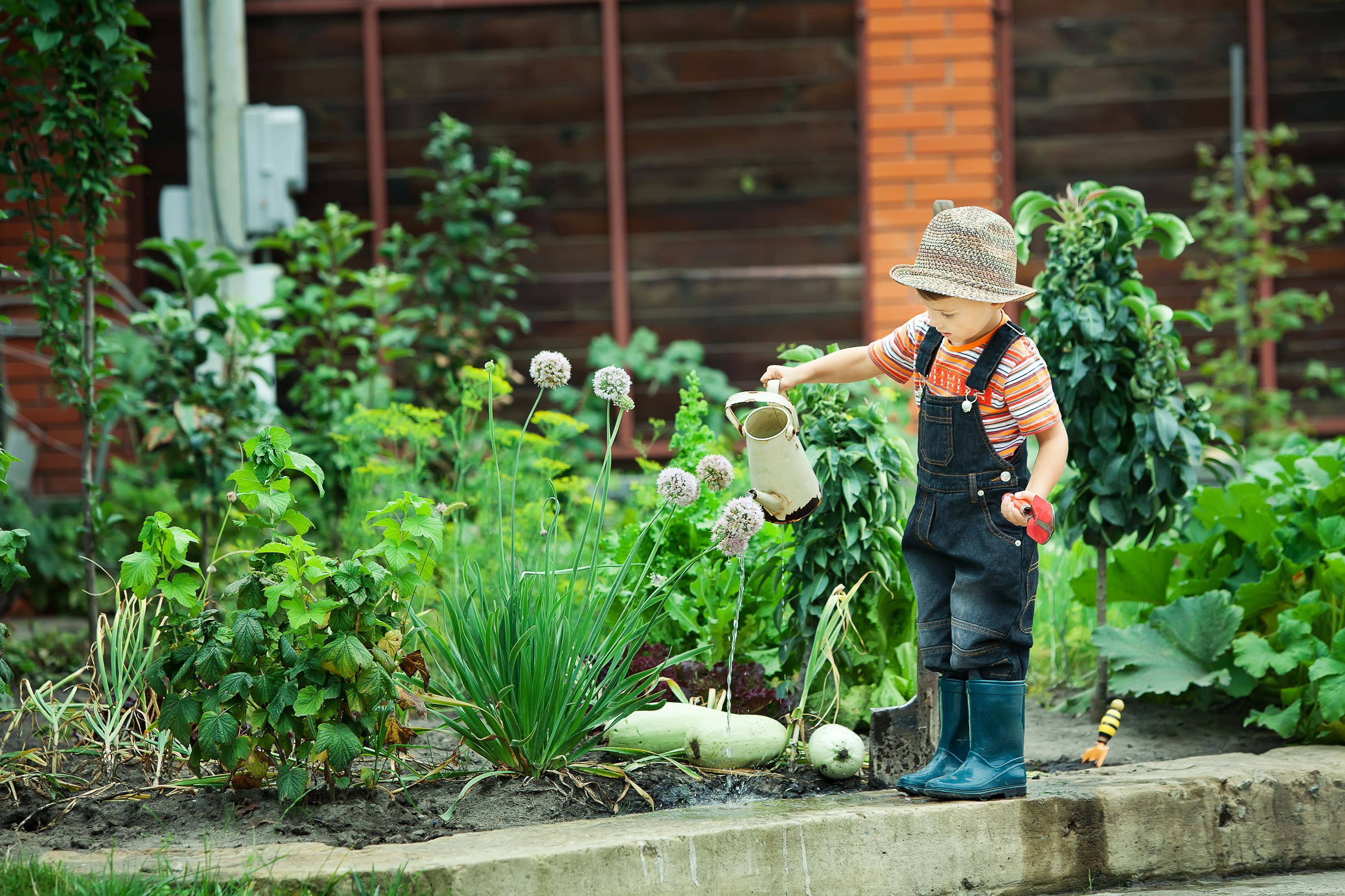 The gardener planted some. Сад и огород. Огород для детей. Детский огород на даче. Фотосессия в огороде.